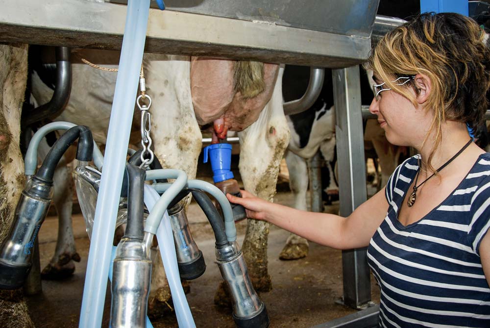 Lagriculture manque de bras et de têtes Journal Paysan Breton