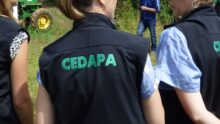 cedepa