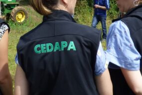 cedepa