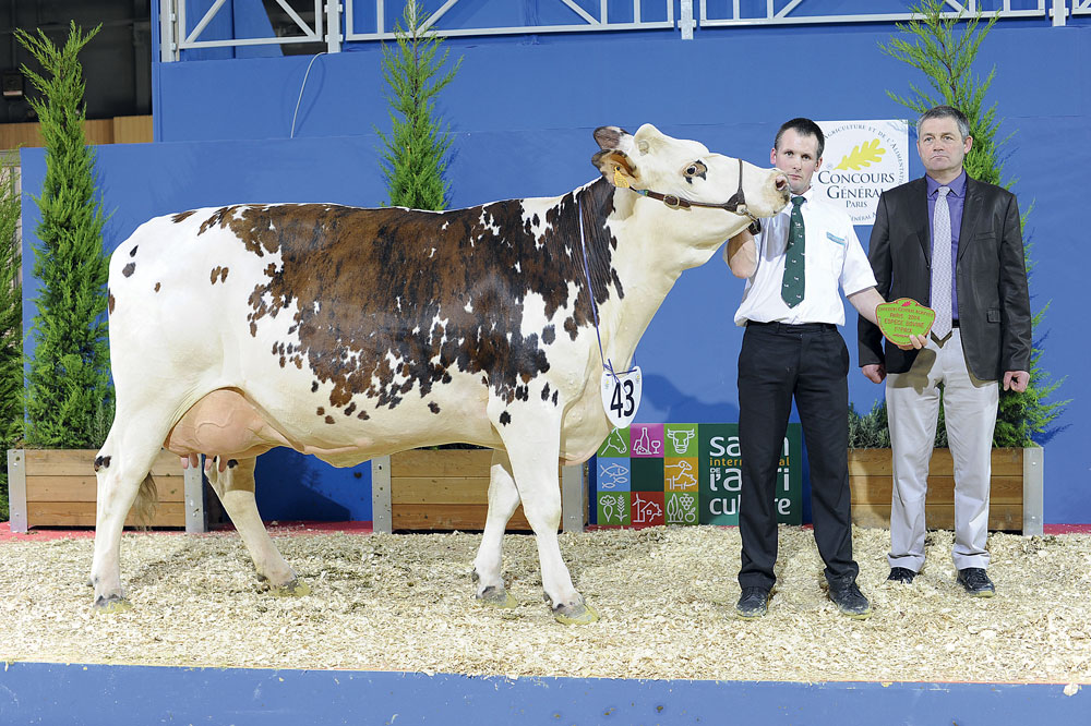 salon-agriculture-paris-concours-normande-bovin - Illustration Didéfix et Evan se partagent le gâteau