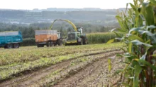 valoriser-mais-ensilage-2014