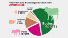 production-azote-resultat