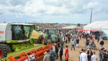 agrifete-2015