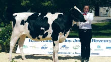 concours-prim-holstein