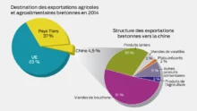 destination-exportation-agricole-bretonne-chine