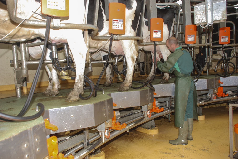 exploitation-laitiere - Illustration La main-d’œuvre familiale sous-estimée en élevage de lait