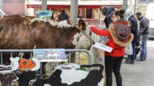 ferme-en-ville-saint-brieuc