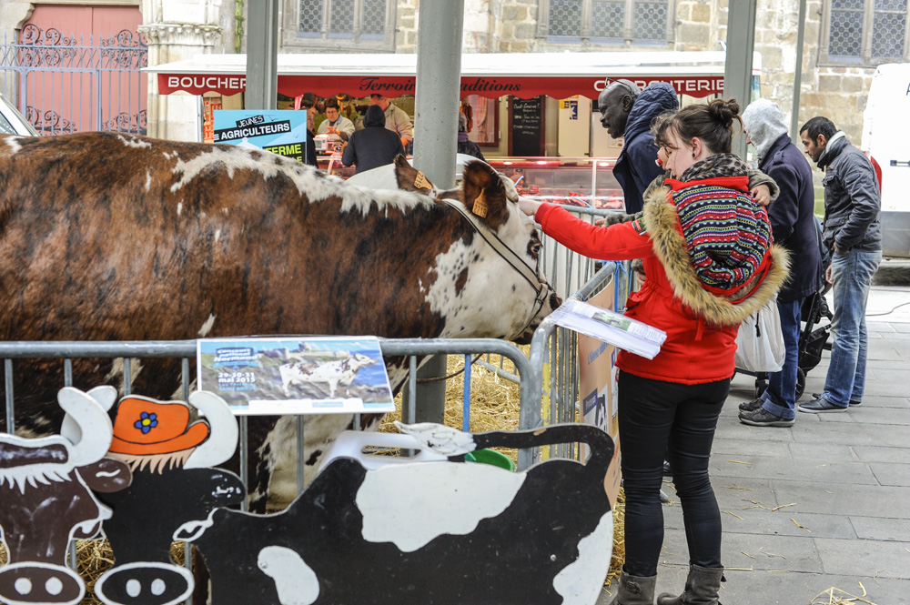 ferme-en-ville-saint-brieuc - Illustration Plus de 3 000 personnes  à Ferme en ville