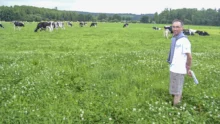 herbe-ensilage-vincent-couvert-montfort-sur-meu