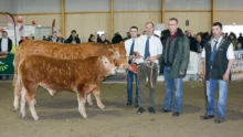 C’est une vache suitée en provenance de l’élevage d’Éric Scoul, de Gourin (56), qui a été choisie par le juge.