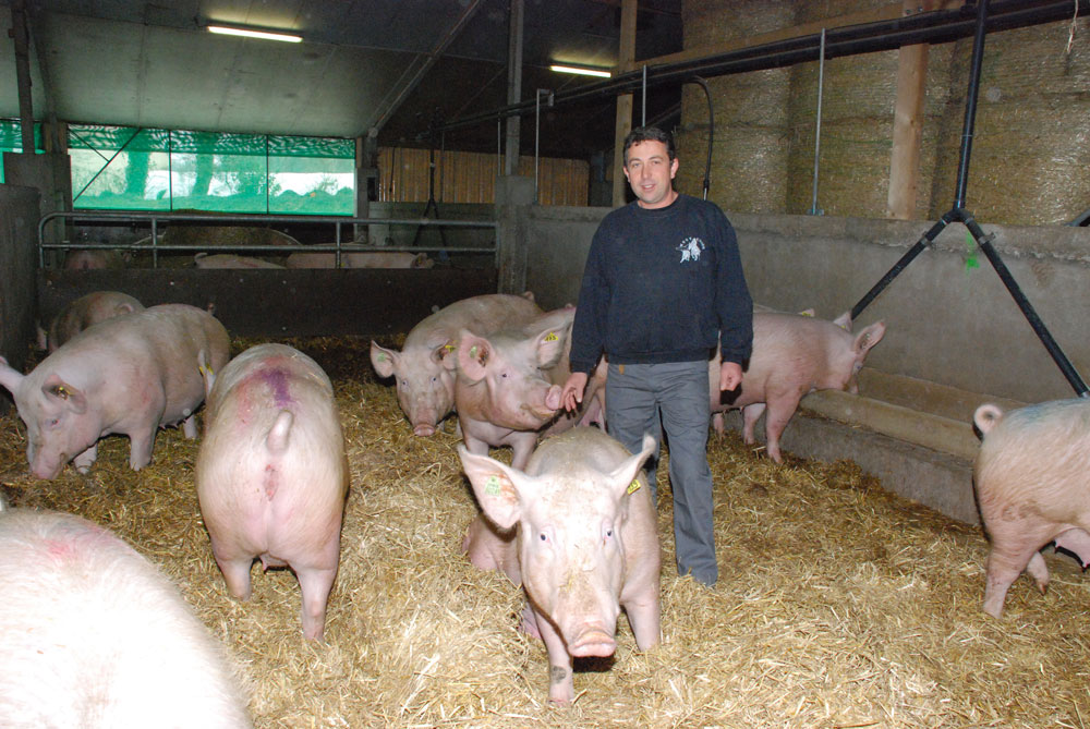 porc-bertrand-euzen - Illustration Les bénéfices de l’échange à la ferme