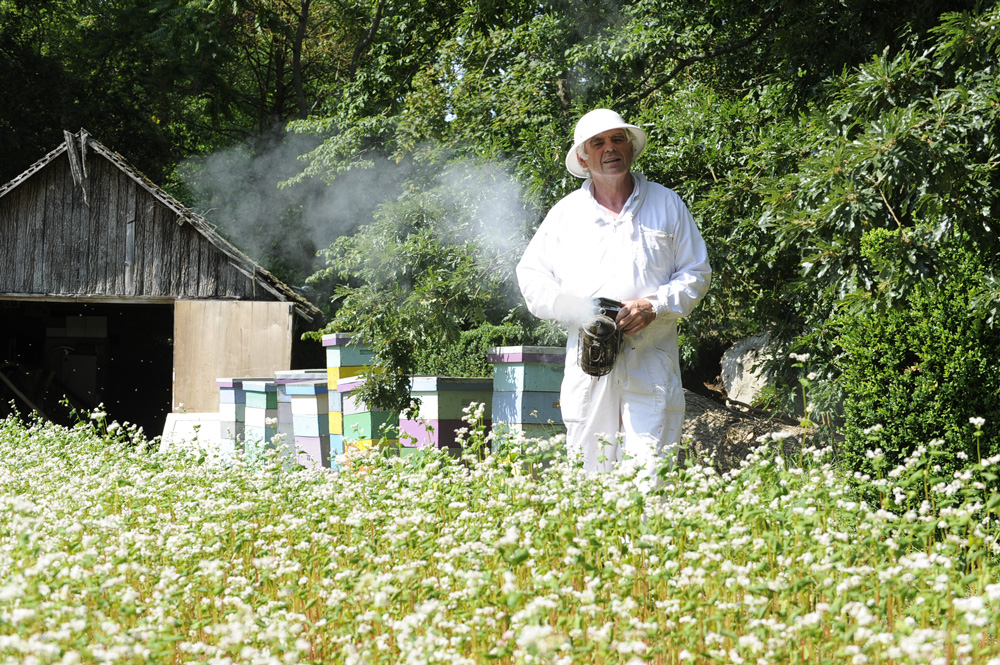 apiculture-saint-malo-domaine-houbarderie - Illustration La Happy culture de l’apiculteur