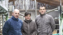 bertrand-sylvie-pansart-stephane-le-boulanger-traite-vache-mammite