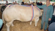 concours-qualite-viande-bovine