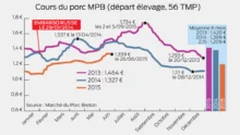 cours-porc