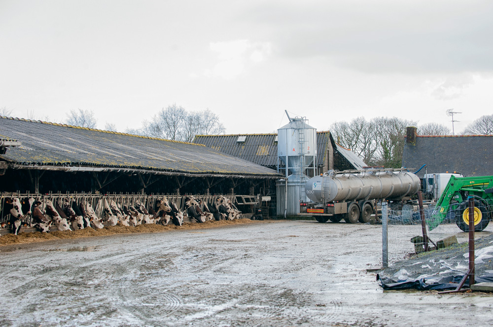 eleveur-lait-fdsea-jeunes-agriculteurs - Illustration Les éleveurs de lait cherchent des repères