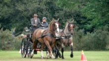 galop-du-coeur-cheval