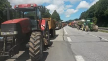 manifestation-eleveurs-breton-crise