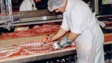 porc-production