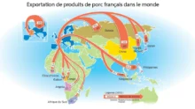 Exportation-de-produits-de-porc-francais-dans-le-monde