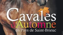 concours-st-brieuc-yffiniac-cavale-d-automne