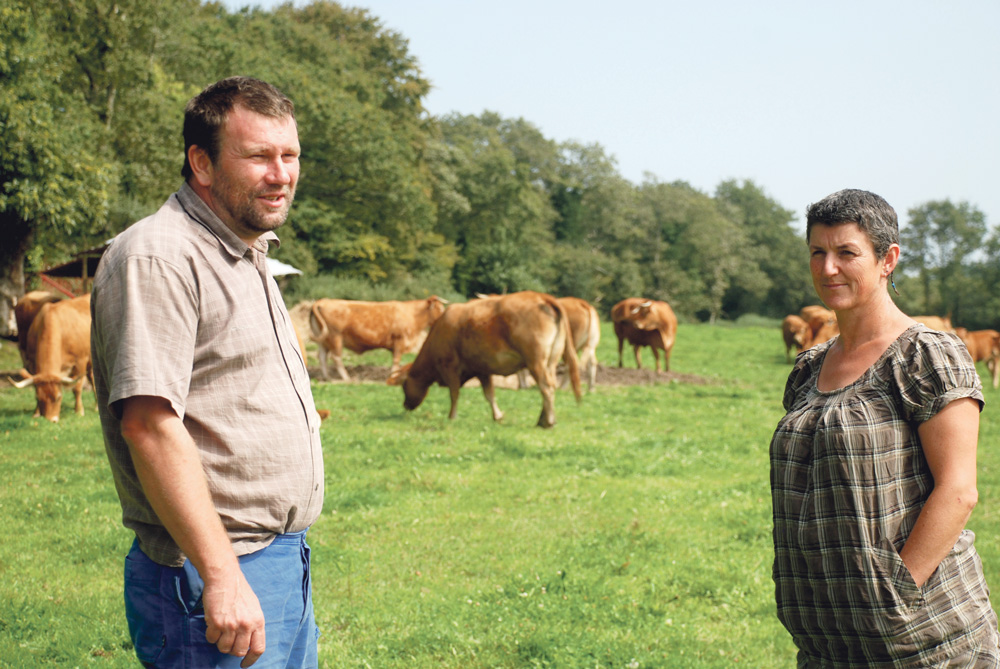 earl-bernard-marchesseau-viande-bovine-syteme-allaitant - Illustration La simplicité d’un système allaitant à l’EARL Bernard-Marchesseau