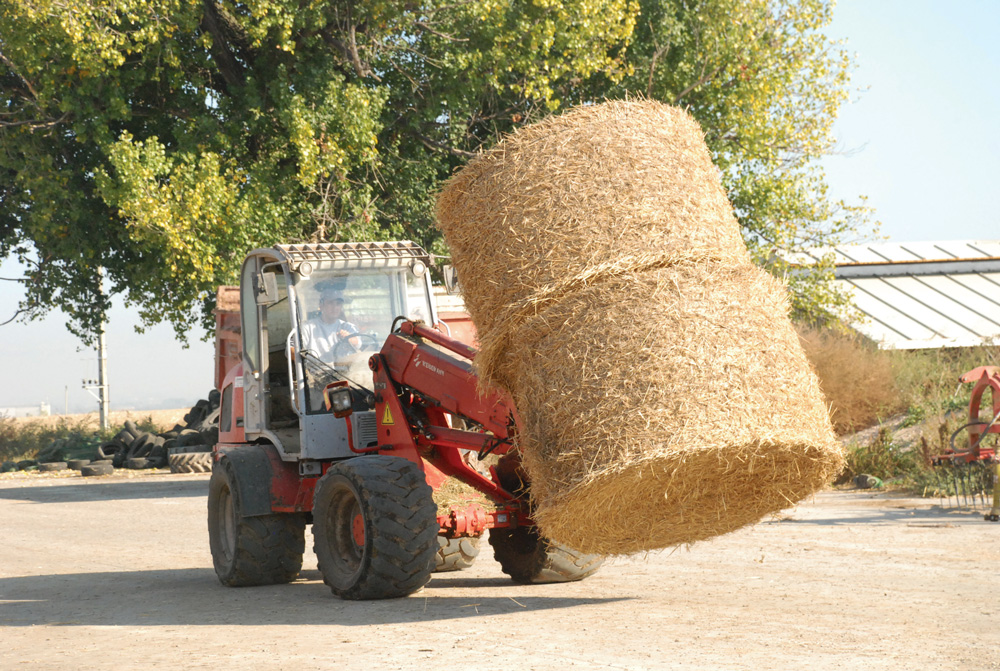 emploi-secteur-agricole - Illustration Emploi : 25 millions d’Européens dans l’agriculture