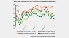 evolution-marche-taurillons