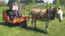 journee-solidarite-plouagat-lucie-cassandra-handicap