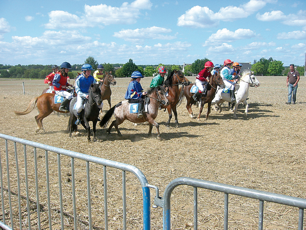 les-terriales-2014-saint-armel - Illustration Les Terriales, ce week-end à Saint-Armel