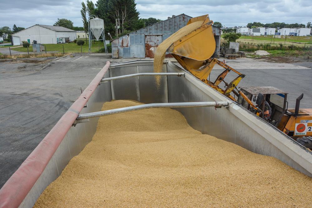 moisson-cereale-2015 - Illustration Mauvaise récolte : “la solution passe par les semences de ferme”