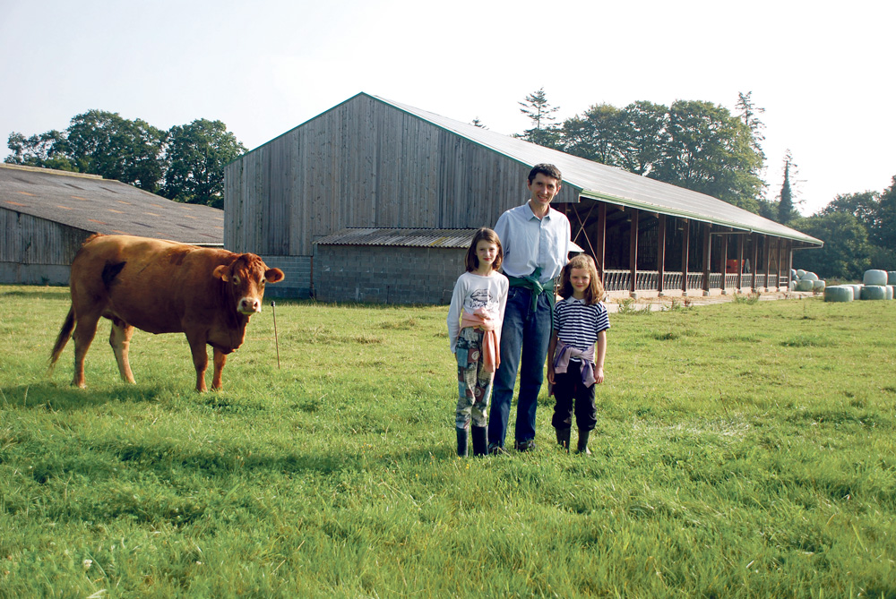 production-agricole-viande-bovine - Illustration Production : vers plus de roulement des effectifs