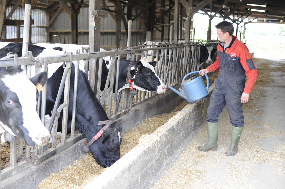 ration-alimentation-vache-allaitante - Illustration Le nutritionniste aide à atteindre les objectifs