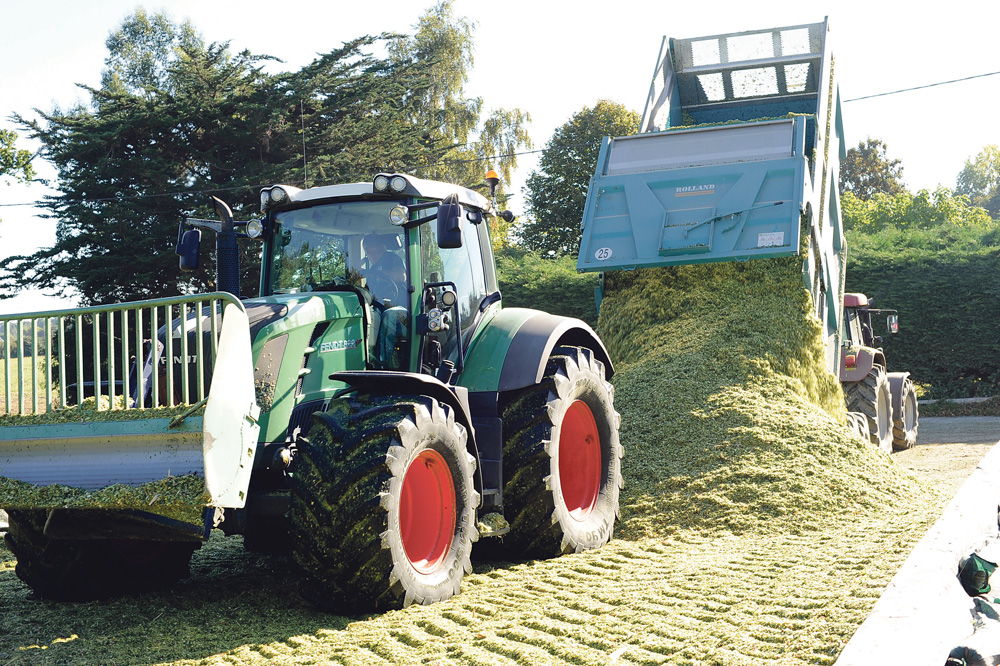 rendement-mais-ensilage-stockage - Illustration Que faire de son maïs supplémentaire ?