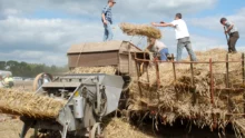 jeune-agriculteur-fete-agriculture-kernascleden