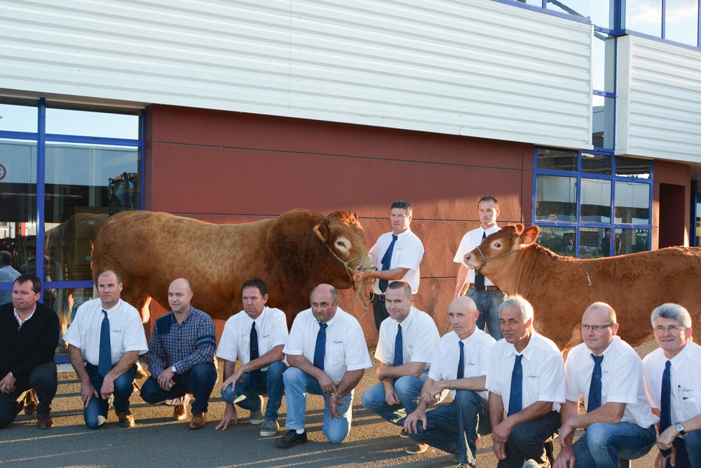 partenariat-eleveur-e-leclerc-carhaix-viande-bovine-origine - Illustration Viande : un partenariat avec la distribution pour garantir un prix