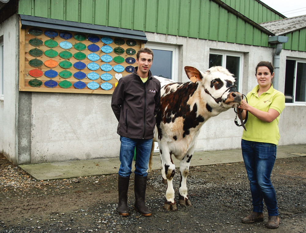 aurelien-guyot-melodie-horvais-lait-ohhh-la-vache-pontivy-genisse-normande - Illustration Les génisses normandes font leur show à Pontivy