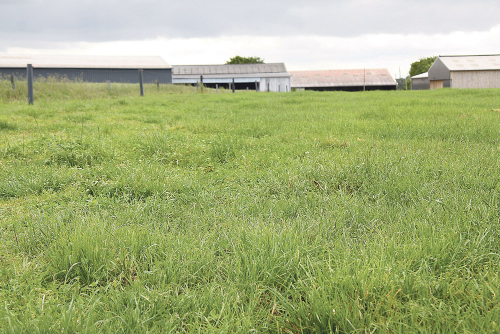 bovin-lait-velage-tarissement-gaec-broceliande-programme-alimentaire-lactation - Illustration Gérer le tarissement pour préparer le vêlage