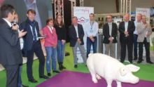 domopig-donnee-collecte-automate-ordinateur-porc