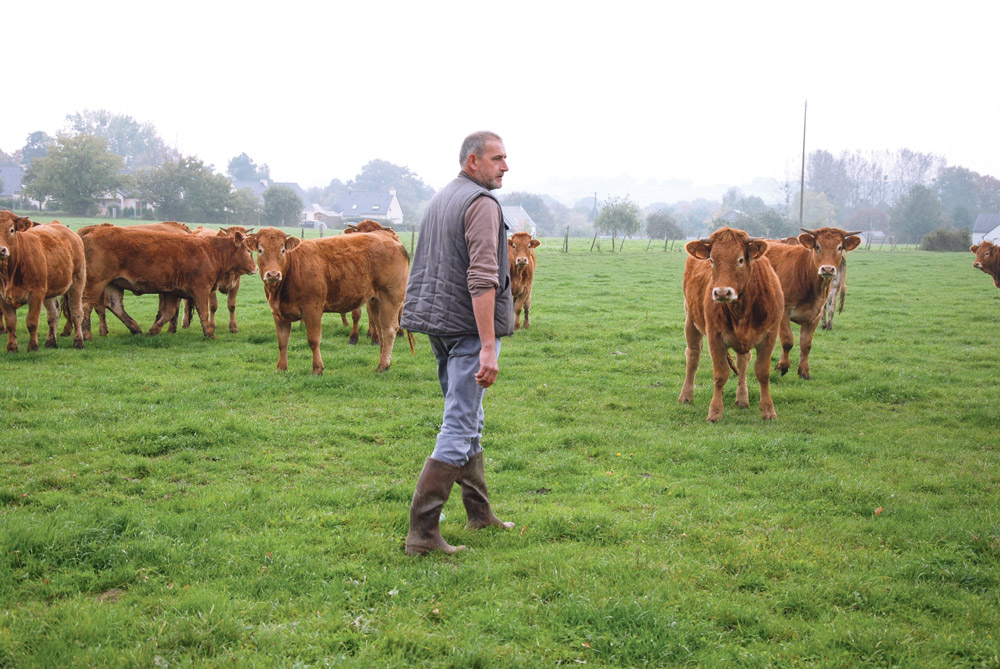 lionel-amouriaux-association-commercialisation-viande-bovine - Illustration Une association renaît en viande bovine locale