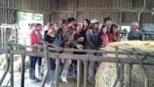 metier-ferme-agriculteur-collegien-orientation-professionnelle-plouneour-lanvern