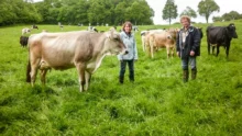 paturage-herbe-porte-ouverte-pierrick-veronique-charles-henon