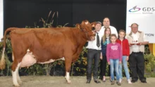 Ardèche, une fille de Origin x Lamanu, remporte le prix de Grande championne