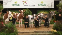 vente-genomic-elite-2015-multi-race-concour-bovin-space