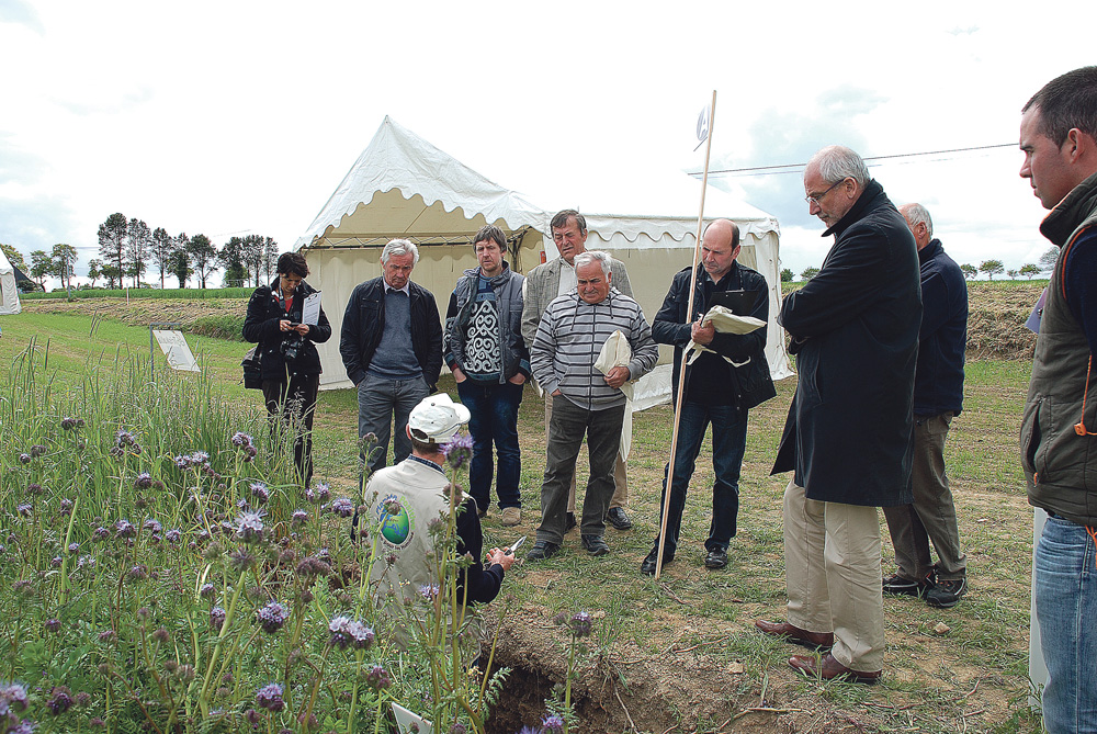 agronomie-journee-technique-assemblee-generale-territoriale-fourrage-ruminant - Illustration Un rendez-vous agronomique reconduit