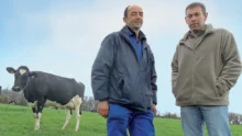 jean-michel-philippe-pascal-gaubert-vache-laitiere-ensilage-mais-paturage-herbe-alimentation-condition-travail-traite-fourrage