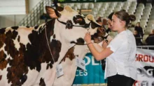 agri-deiz-salon-agriculture-bovin-concours-morlaix-elevage-production-finistere