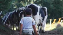 loi-d'avenir-stephane-le-foll-environnement-performance-economique-exploitation-agricole