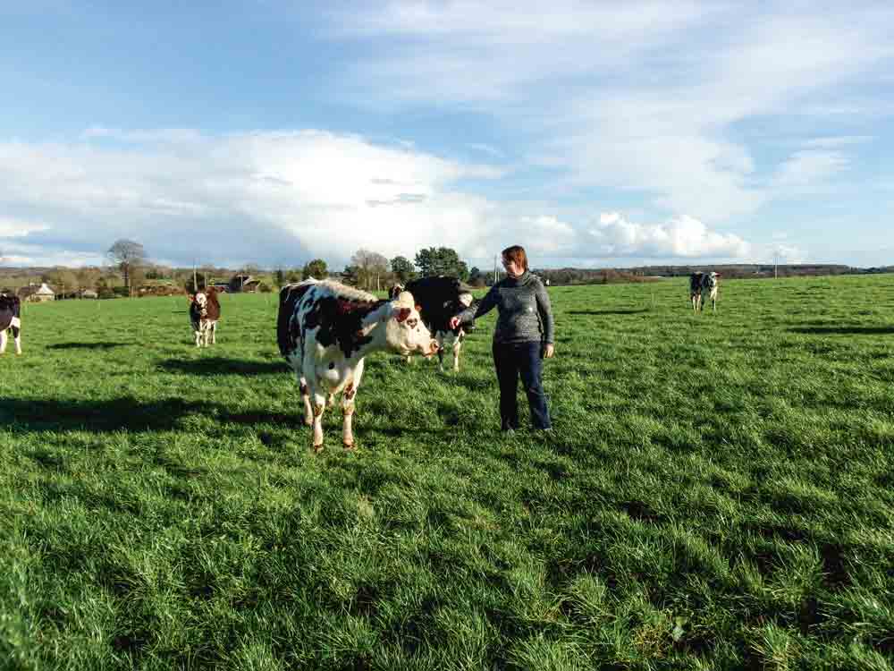 production-lait-herbe-paturage-vache-laitiere-troupeau-cout-alimentaire - Illustration Produire le maximum de lait à l’herbe