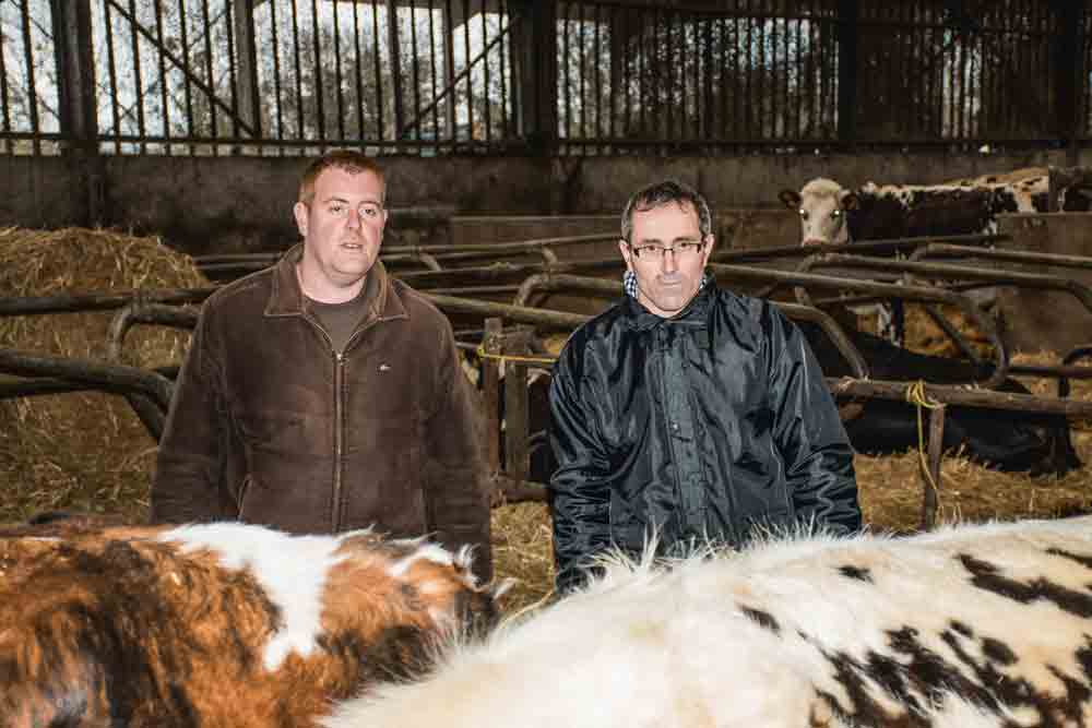 _remy-cottin-yvon-l-anthoen-producteur-lait-goudelin-vache-laitiere - Illustration Nous allons perdre plus de 50 000 € d’EBE en deux ans­